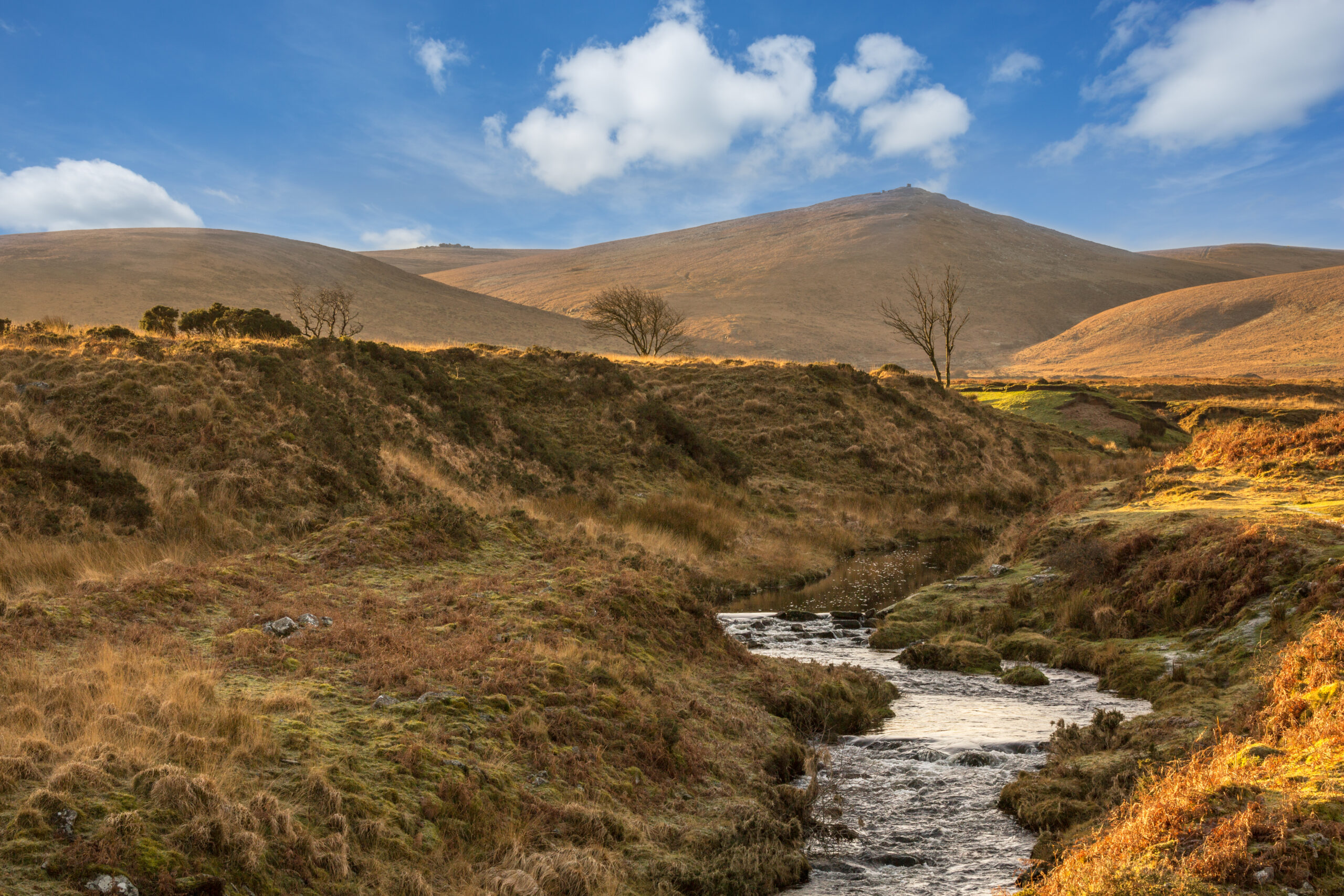 River Taw Dartmoor