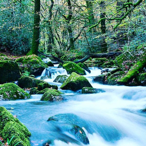 Dartmoor River Summer Dartmoor River Summer