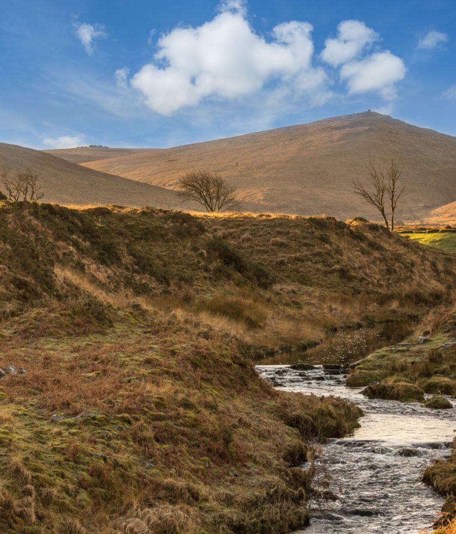 River Taw Dartmoor