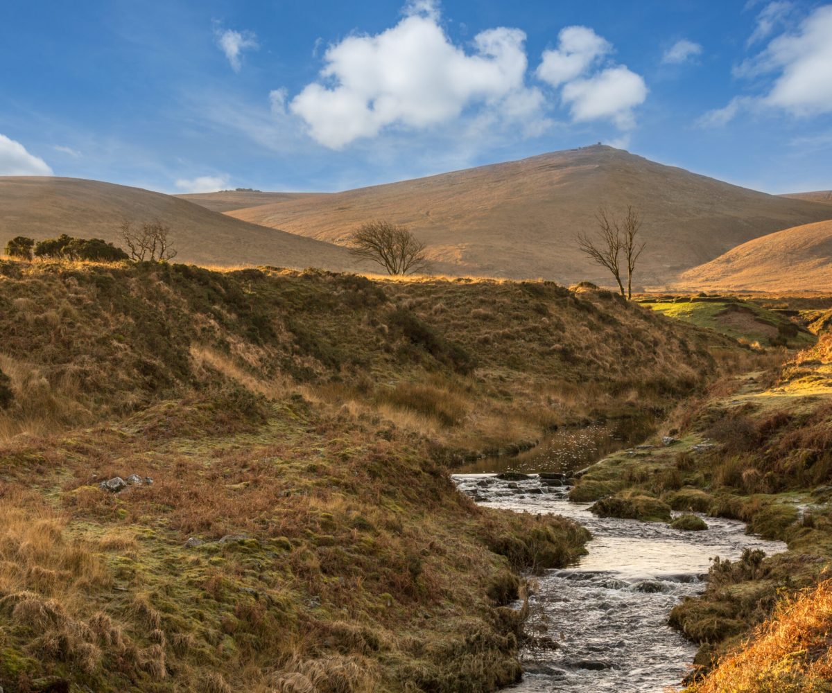 River Taw Dartmoor River Taw Dartmoor